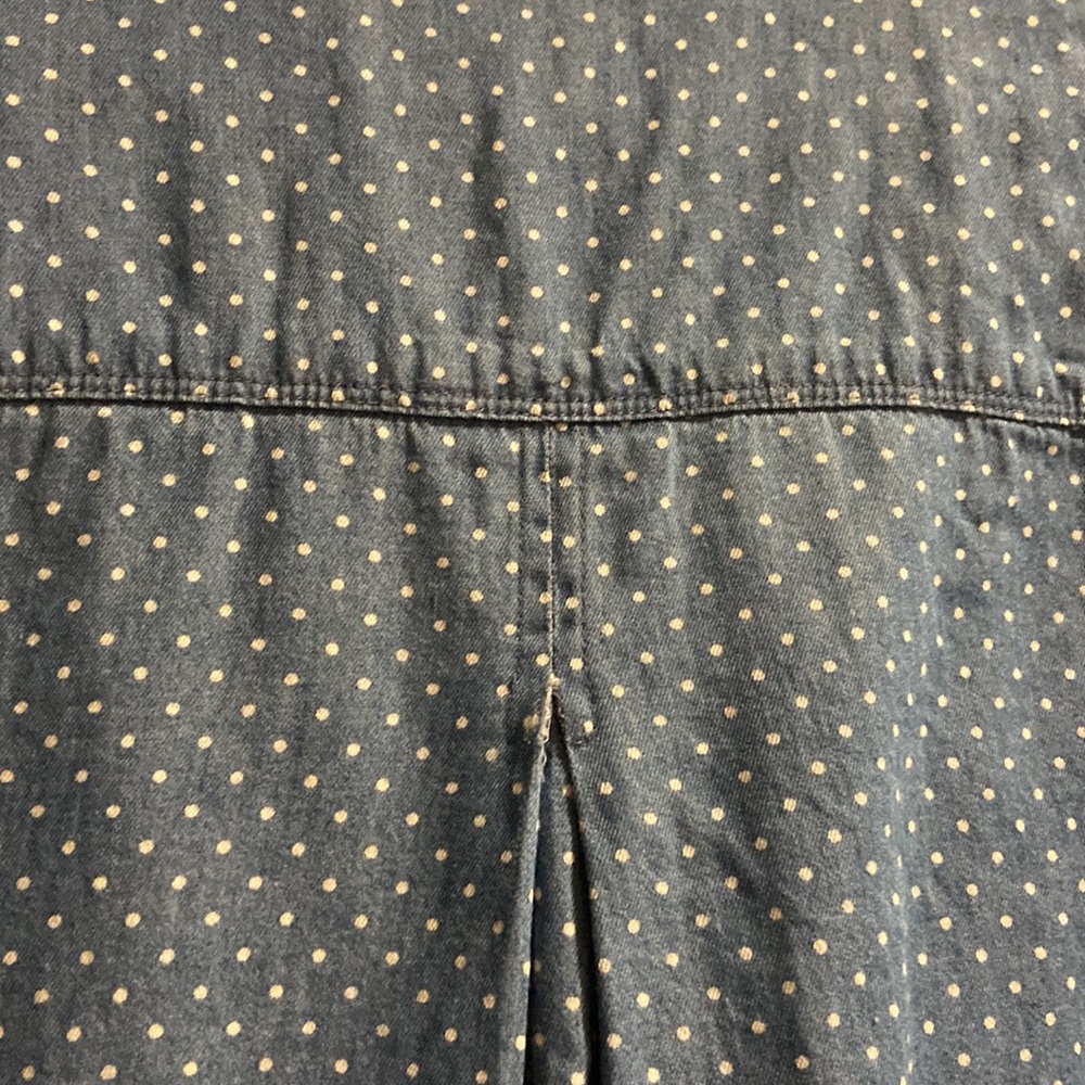 Polka Dot Chambray - Picture 5 of 5
